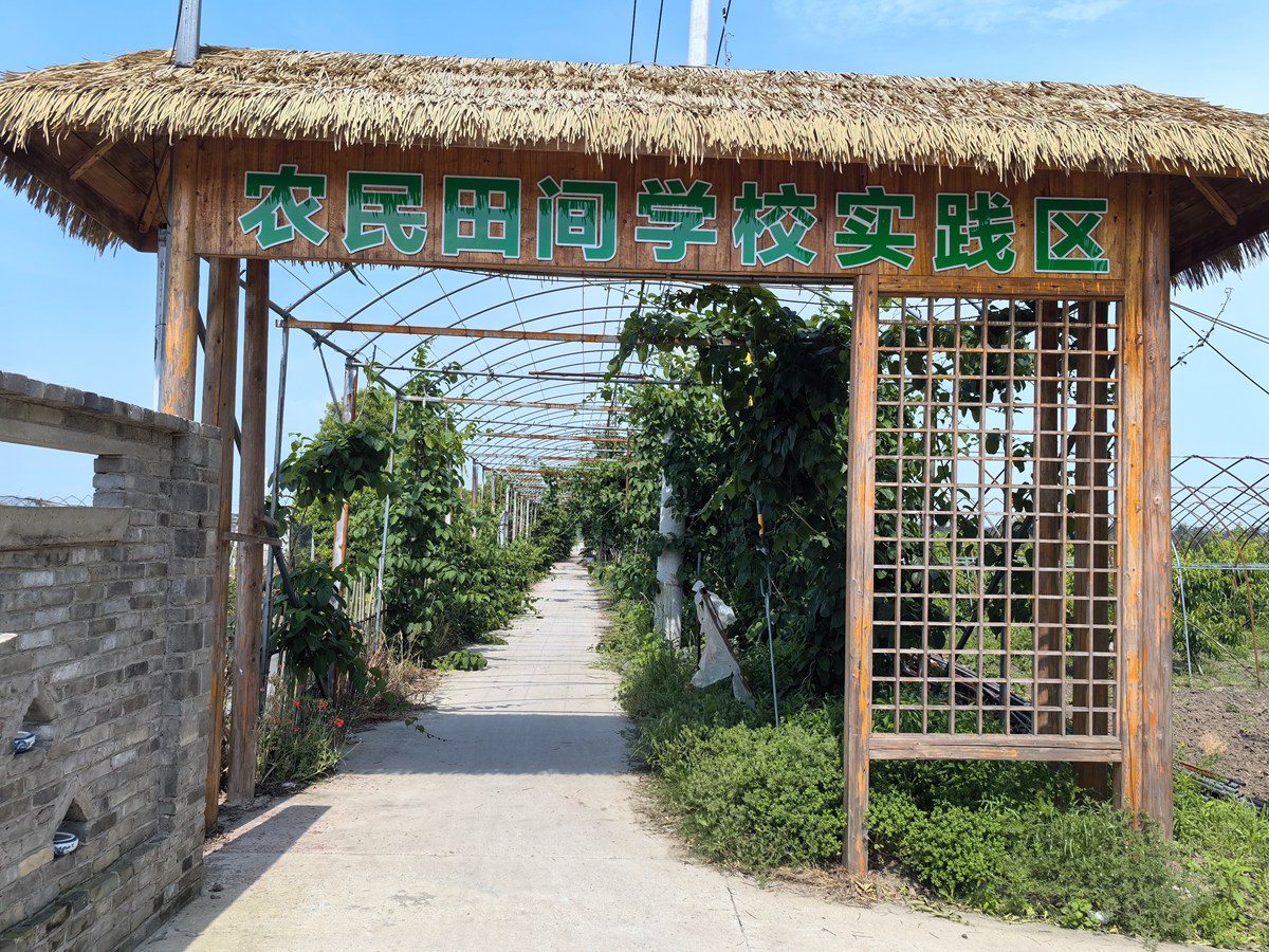 农场环境