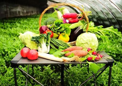 75年来全国粮食总产量增长5.1倍